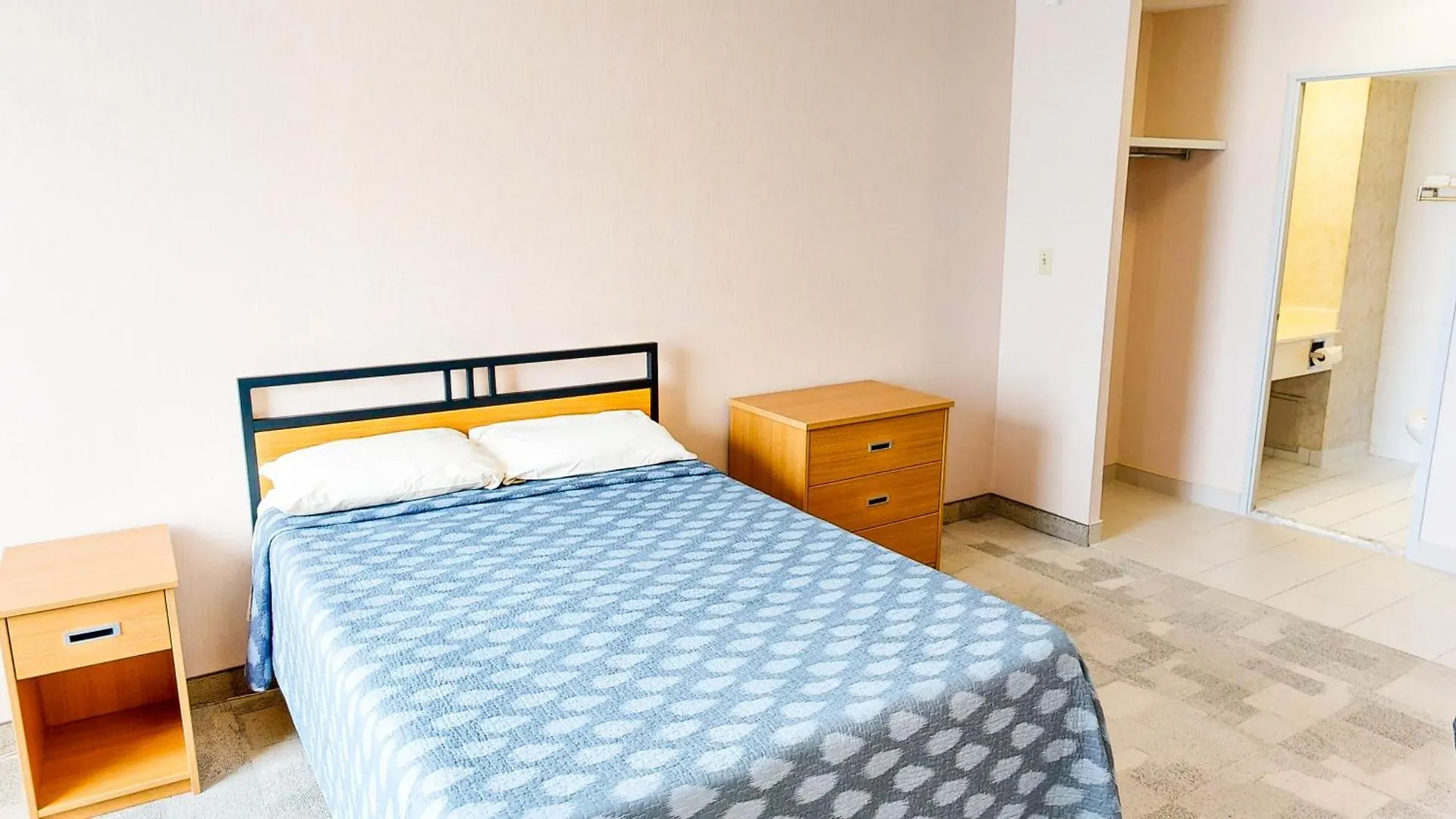 Apartament Chestnut Residence And Conference Centre - University Of Toronto