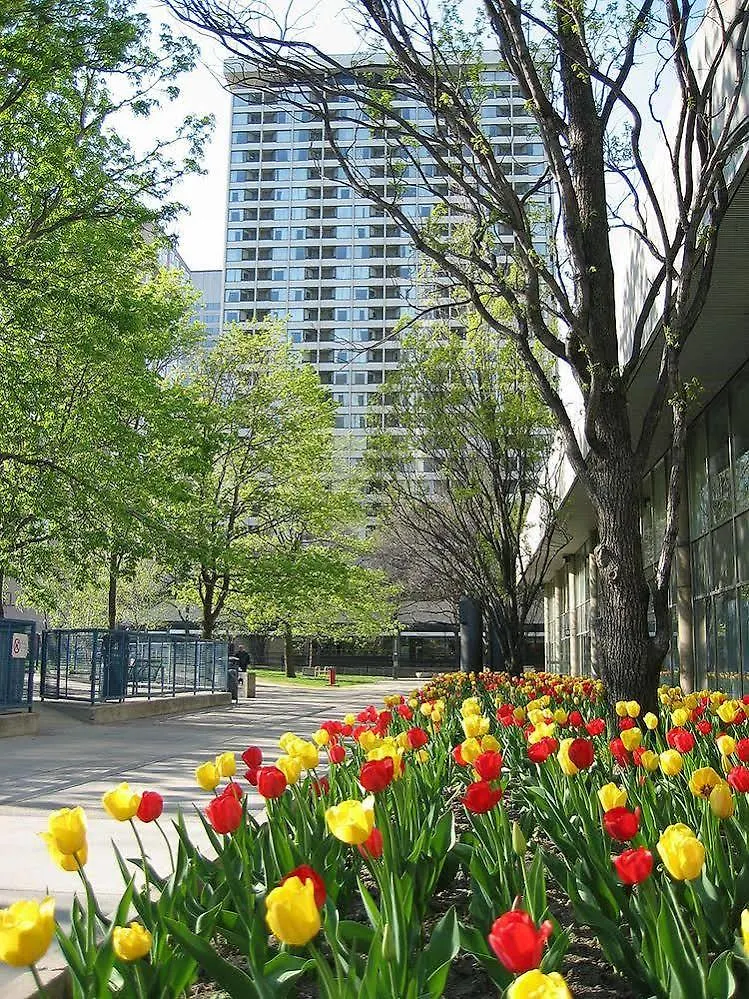 Chestnut Residence And Conference Centre - University Of Toronto Apartament